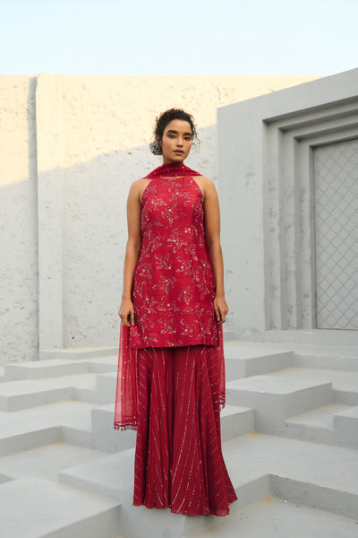 Chamee and Palak Serena Sharara indian designer wear online shopping melange singapore