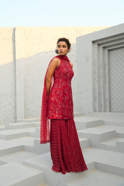 Chamee and Palak Serena Sharara indian designer wear online shopping melange singapore