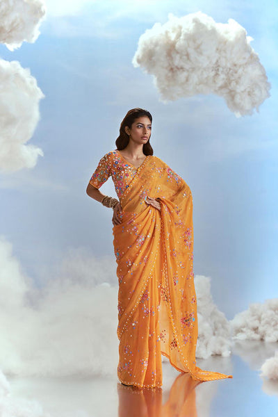 Nachiket Barve Izmir Carnations Organza Sari indian designer wear online shopping melange singapore