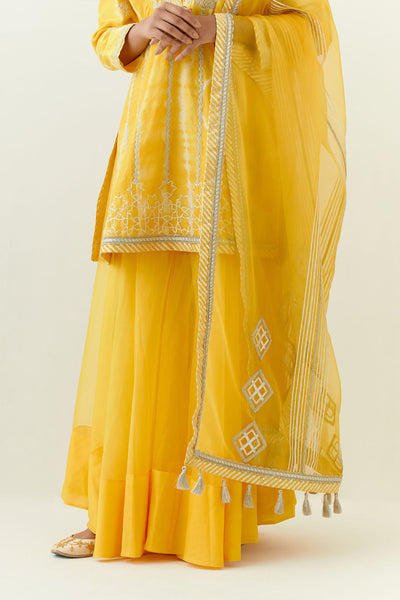 Simar Dugal Nakshi Clamp V-neck Short A-line Kurta With Sharara indian designer wear online shopping melange singapore