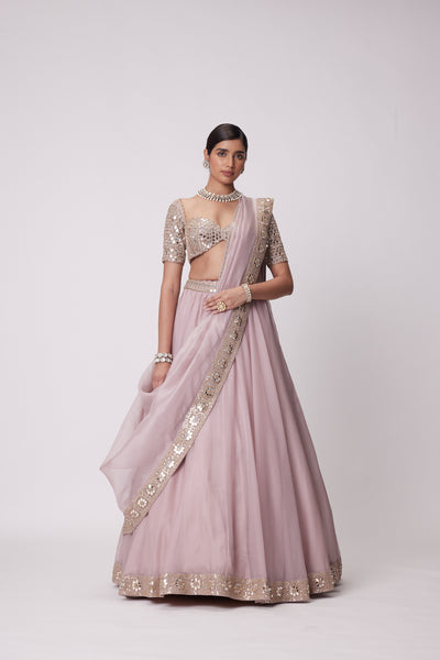 V Vani Vats Ash Pink Flower Border Organza Lehenga Set indian designer wear online shopping melange singapore