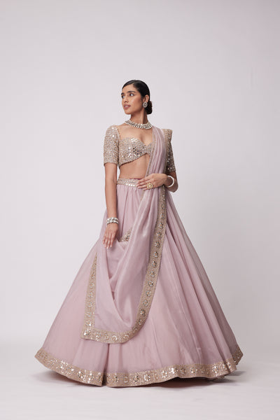 V Vani Vats Ash Pink Flower Border Organza Lehenga Set indian designer wear online shopping melange singapore