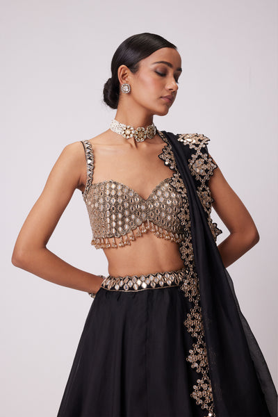 V Vani Vats Black Organza Lehenga Set ndian designer wear online shopping melange singapore