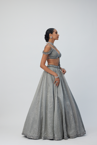 Crystal Grey Sequins Scattered Lehenga Set Melange Singapore Online Shopping Indian Designer Wear V Vani Vats