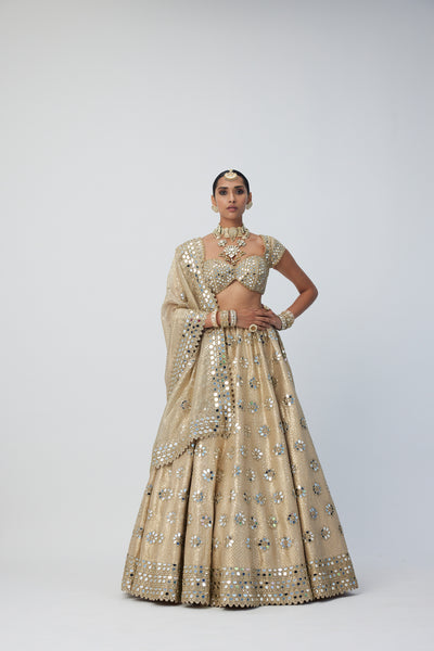 V Vani Vats Golden Shimmer Organza Flower Lehenga Set indian designer wear online shopping melange singapore