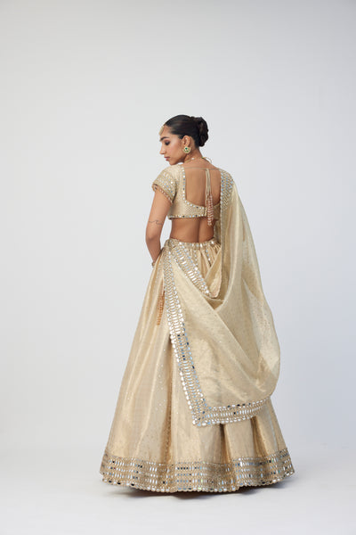 V Vani Vats Golden Shimmer Organza Linear Lehenga Set indian designer wear online shopping melange singapore