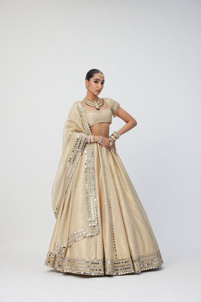 V Vani Vats Golden Shimmer Organza Linear Lehenga Set indian designer wear online shopping melange singapore