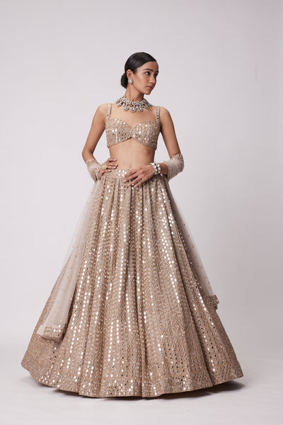 V Vani Vats Light Beige Hand Embroidered Lehenga Set indian designer wear online shopping melange singapore