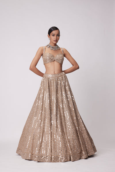 V Vani Vats Light Beige Hand Embroidered Lehenga Set indian designer wear online shopping melange singapore