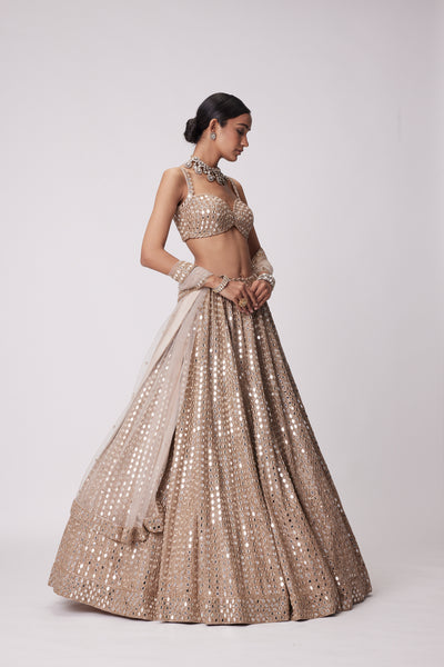 V Vani Vats Light Beige Hand Embroidered Lehenga Set indian designer wear online shopping melange singapore