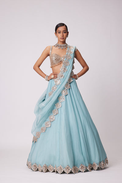 V Vani Vats Powder Blue Organza Hand Embroidered Lehenga Set indian designer wear online shopping melange singapore