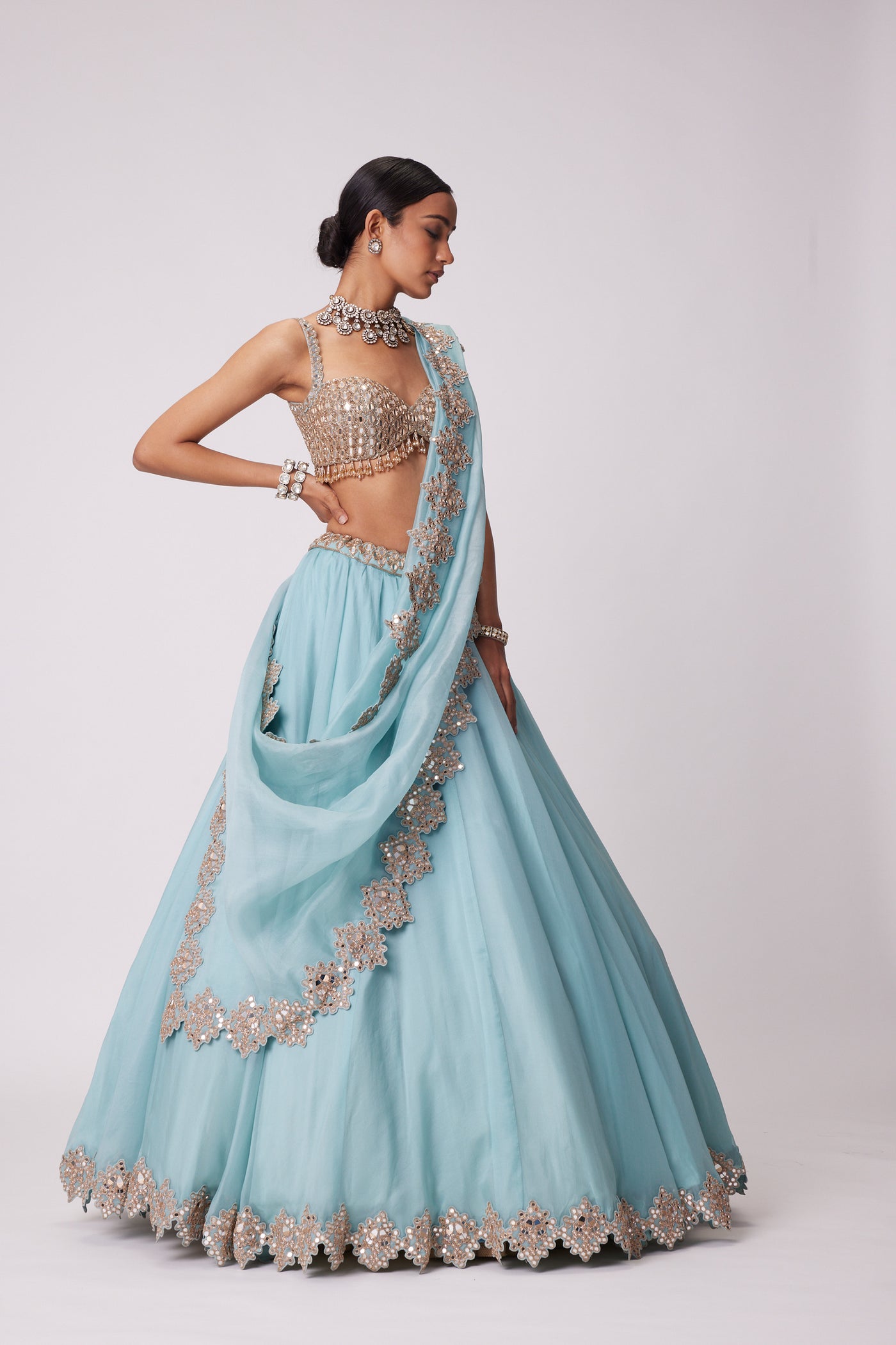 V Vani Vats Powder Blue Organza Hand Embroidered Lehenga Set indian designer wear online shopping melange singapore