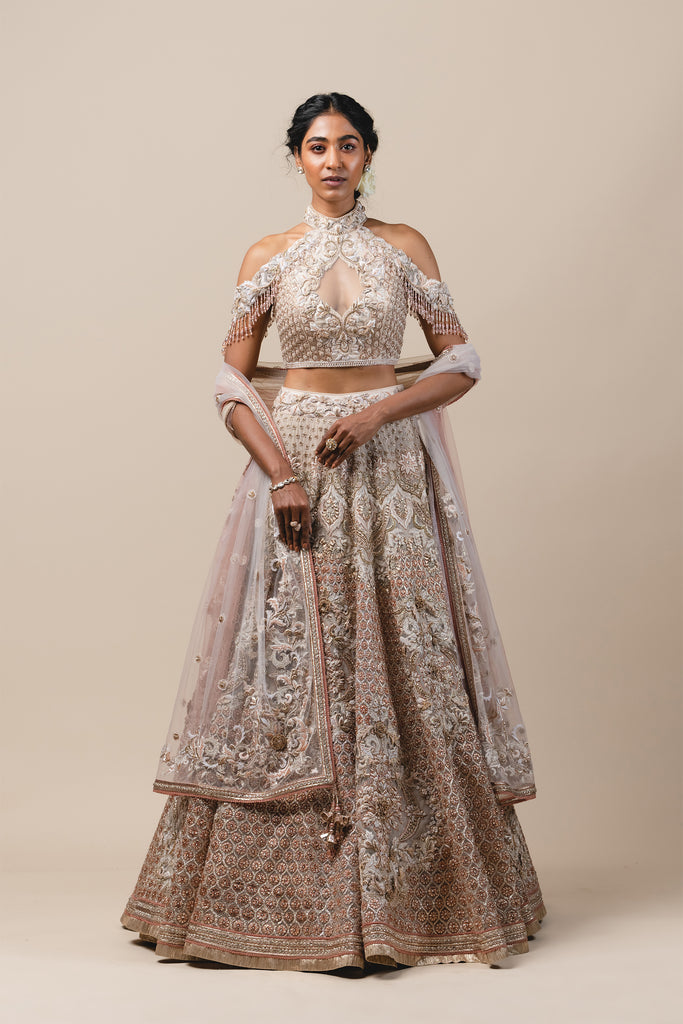 Buy Oyster Organza Lehenga With Cut Dana Embroidery, Crop Top Comes In  3/4Th Sleeves With A Deep V Neckline